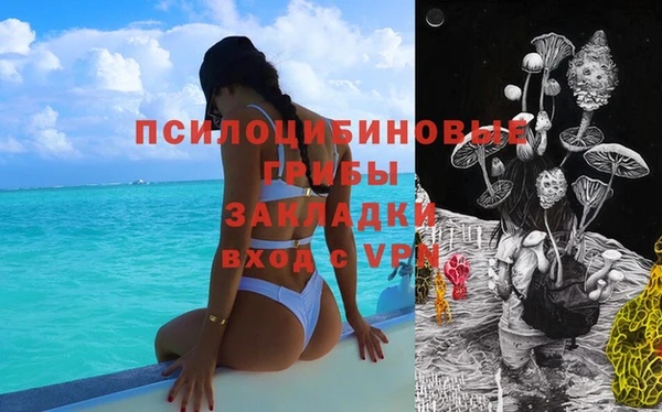 винт Бородино