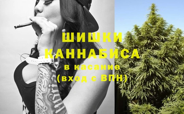 винт Бородино