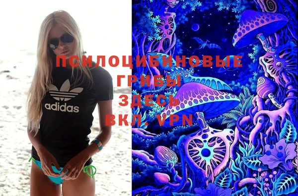 mdpv Бронницы