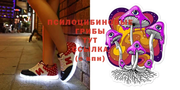 ПСИЛОЦИБИНОВЫЕ ГРИБЫ Бугульма
