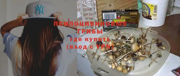 ПСИЛОЦИБИНОВЫЕ ГРИБЫ Бугульма