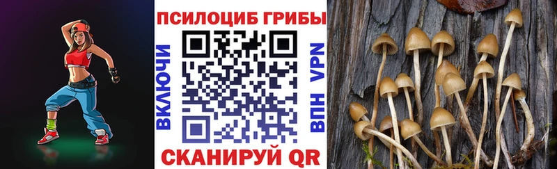 Псилоцибиновые грибы Psilocybine cubensis  Купить закладки  Новопавловск 